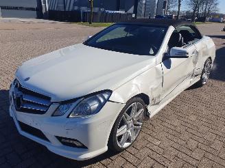  Mercedes E-klasse 500 Elegance Automaat 2011/7
