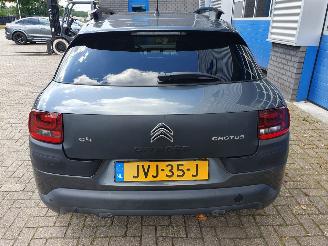 Citroën C4 cactus 1.2 PureTech W picture 4