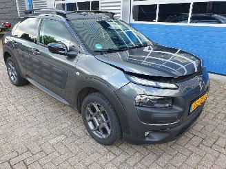 Citroën C4 cactus 1.2 PureTech W picture 7
