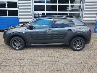 Citroën C4 cactus 1.2 PureTech W picture 2