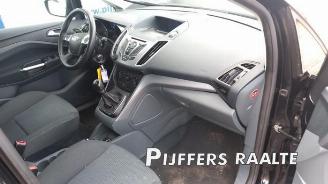 Ford C-Max C-Max (DXA), MPV, 2010 / 2019 1.6 Ti-VCT 16V picture 16