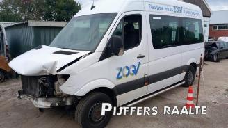 Coche siniestrado Mercedes Sprinter Sprinter 3,5t (906.73), Bus, 2006 / 2020 316 NGT 2016/8