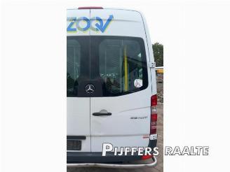Mercedes Sprinter Sprinter 3,5t (906.73), Bus, 2006 / 2020 316 NGT picture 6