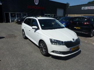Schadeauto Skoda Fabia 1.0 TSI BUSINESS ED. 2021/6