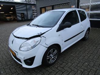 Avarii autoturisme Renault Twingo 1.2 Authentigue 2009/11
