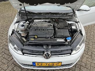 Volkswagen Golf Variant 1.6 TDI Trendline picture 31