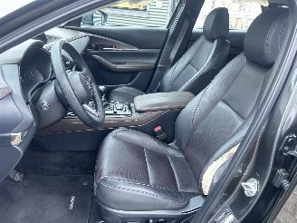 Mazda CX-30 2.0 e-SkyActive -G M Hybrid Comfort picture 10