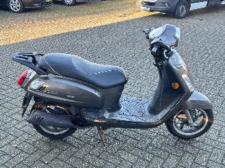 Sym  Fiddle 2 picture 6