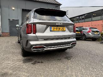 Kia Sorento 1.6 T-GDI Hybrid 2WD DynamicPlusLine 7p. picture 16