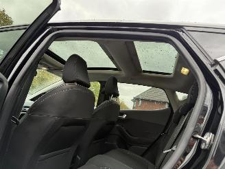 Ford Fiesta 1.5 TDCi Titanium  PANORAMADAK Hatchback 5-dr. picture 14