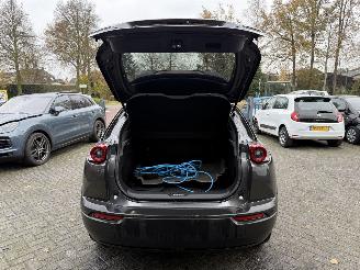 Mazda MX-30 e-SkyActiv R-EV 170 Advantage picture 18