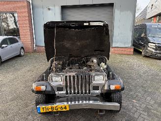 Jeep Wrangler 2.5i Hardtop (Terreinwagen 2-dr.) picture 11