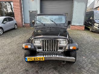 Jeep Wrangler 2.5i Hardtop (Terreinwagen 2-dr.) picture 13