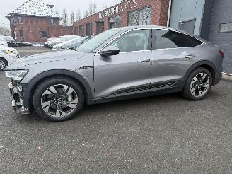 Audi E-tron 55 quattro edition 95 kWh  PANORAMADAK picture 2