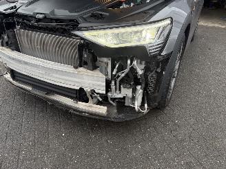 Audi E-tron 55 quattro edition 95 kWh  PANORAMADAK picture 39