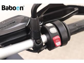 BMW S 1000 XR ABS picture 18