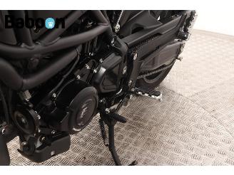 Benelli  Leoncino 800 picture 19