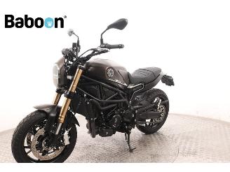 Benelli  Leoncino 800 picture 4
