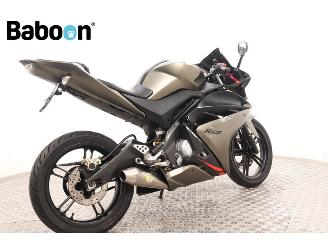 Yamaha  YZF-R 125 picture 8