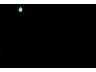 Harley-Davidson  FXS 1340 Shovelhead picture 17