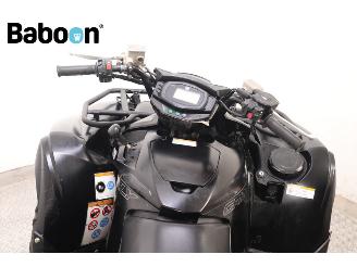 Yamaha Grizzly 700  picture 15