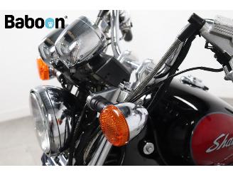 Honda  VT 800 C Shadow picture 26