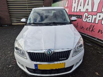 Skoda Fabia 1.2 TDI greenline picture 6