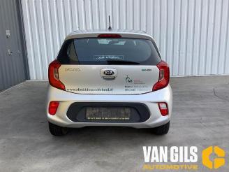  Kia Picanto Picanto (JA), Hatchback, 2017 1.0 12V 2017/7