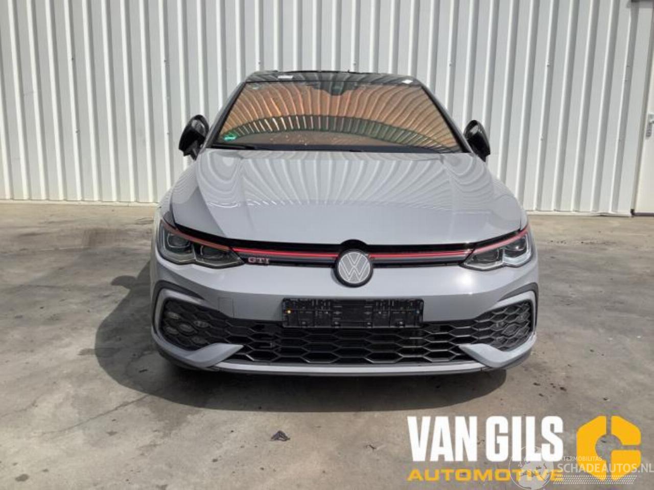 Volkswagen Golf Golf VIII (CD1), Hatchback, 2019 2.0 GTI 16V