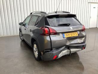 Peugeot 2008  picture 9