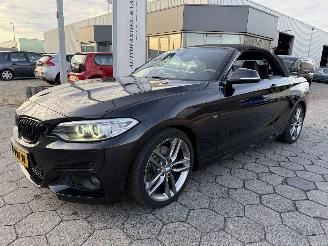  BMW 2-serie Cabrio 220i Centennial High Executive 2016/4