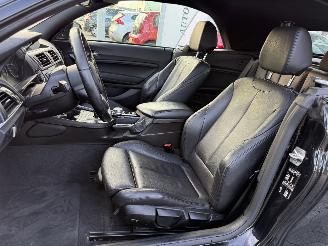 BMW 2-serie Cabrio 220i Centennial High Executive picture 12