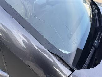 Opel Combo 1.5D L2H1 Edition picture 13