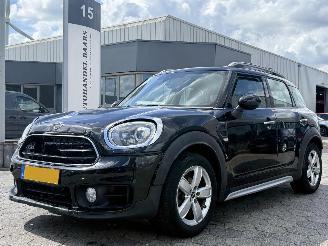 Auto incidentate Mini Countryman 1.5 Cooper Dutch Made Edition AUTOMAAT 2019/5