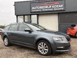 Unfallwagen Skoda Octavia 1.0 TSI Greentech BusinessEdition 2019/1