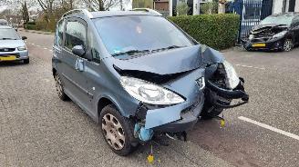 Coche siniestrado Peugeot 1007 1.6-16v gENTRY 2009/5