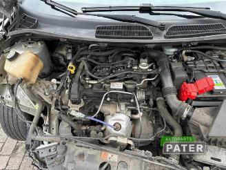 Ford Fiesta Fiesta 6 (JA8), Hatchback, 2008 / 2018 1.0 Ti-VCT 12V 65 picture 12