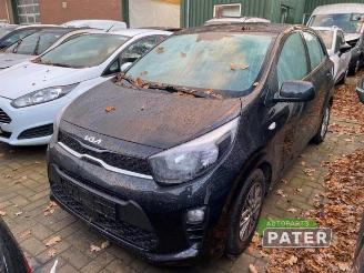 Sloopauto Kia Picanto Picanto (JA), Hatchback, 2017 1.0 DPi 12V 2023/9