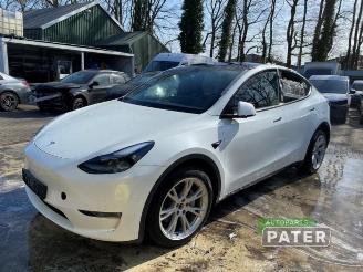 Auto da rottamare Tesla Model Y Model Y (5YJY), SUV, 2019 Long Range,Performance 2023/11
