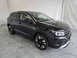 Voiture accidenté Opel Grandland 1.6 TurboHy Level 3 2023/9
