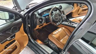 Jaguar XJ 3.0 V6D Premium Luxury picture 15
