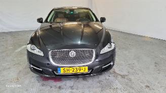 Jaguar XJ 3.0 V6D Premium Luxury picture 2