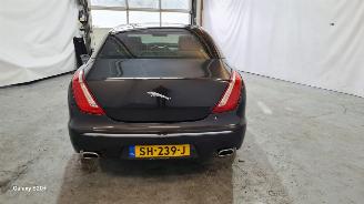 Jaguar XJ 3.0 V6D Premium Luxury picture 6