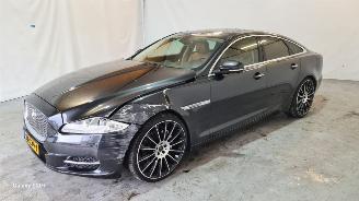 Jaguar XJ 3.0 V6D Premium Luxury picture 3