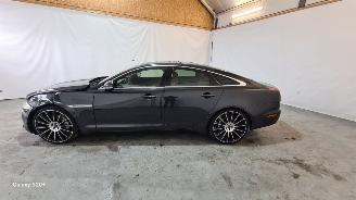 Jaguar XJ 3.0 V6D Premium Luxury picture 4