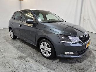 Avarii autoturisme Skoda Fabia 1.2 TSI First Edition Ambition 2015/3