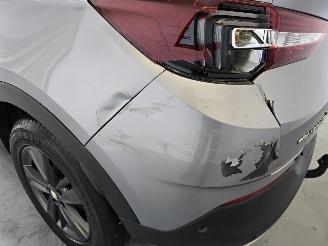 Opel Grandland X picture 13