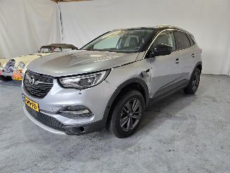 Opel Grandland X picture 3