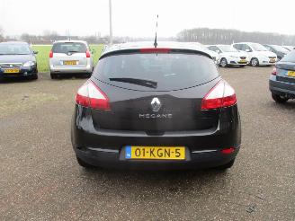 Renault Mégane 2.0 Dynmique Aut NAP picture 6