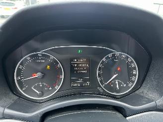 Skoda Octavia 1.4 TSI Greentech Elegance Business Line picture 9